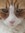 Angie's icon
