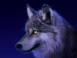 Silverwolf