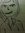 Shauna's icon