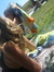 Briana