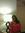 Angie