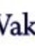Gold Wake Press