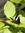 Love2read | 11 comments