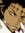 Catharina's icon