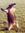 Jonathan Cate | 49 comments