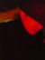 Noa