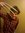Casey Renz