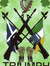 Daibhidh Stiùbhard