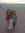 Shelly's icon