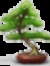 Brownthrasher