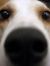 Dave