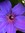 Ioana | 533 comments