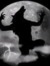 Steevil13