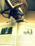 Book Bunny