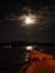 P_campbe
