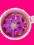 Chicas Sippin Tea Erock