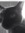 Jolyon's icon