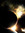 Andrey | 4 comments