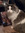 Yurice | 428 comments
