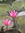 Elaine | 4 comments