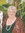 Linda Webb