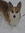 Sallie(Shuga) (Shuga) | 398 comments