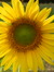 L12_Anke