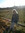 Margit