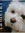 3425272