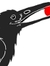 Corvus