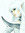 Lóderr's icon