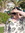 Gemma | 10 comments