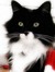 Mr Puddy
