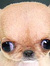 Aneurin