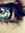Nour