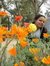 Astha