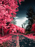 Antoo