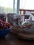 Breakfastinmoscow