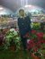 Arijit