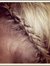 Stacy Brinkerhoff Thiot