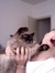 Tansy E