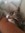Fayley | 89 comments