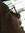 Lada