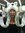 Shannon's icon