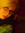 Ginny | 4 comments