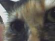 Margo