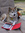 Lobo Tomy