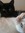 Jackie (Jackie1301) | 75 comments