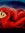 Shelly