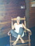 Rochelle Torke